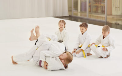 Judo in de Klimtuin Epe