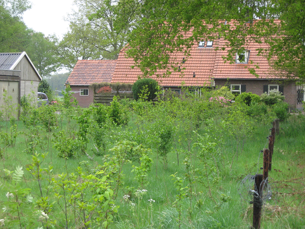 Uitdeeldag van succesvolle actie vogelbosjes op de Veluwe