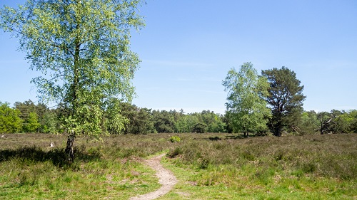 Archeologische wandeling in Vaassen