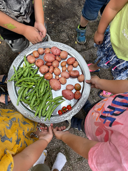 Peuters van KOM Kinderopvang smullen uit eigen moestuin