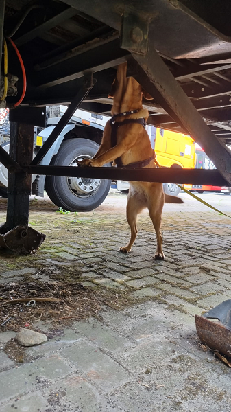 Speurhondendag bij garagebedrijf Pals in Vaassen