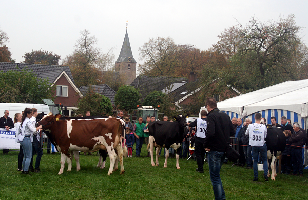 165ste Oener Koefeest is feest voor iedereen