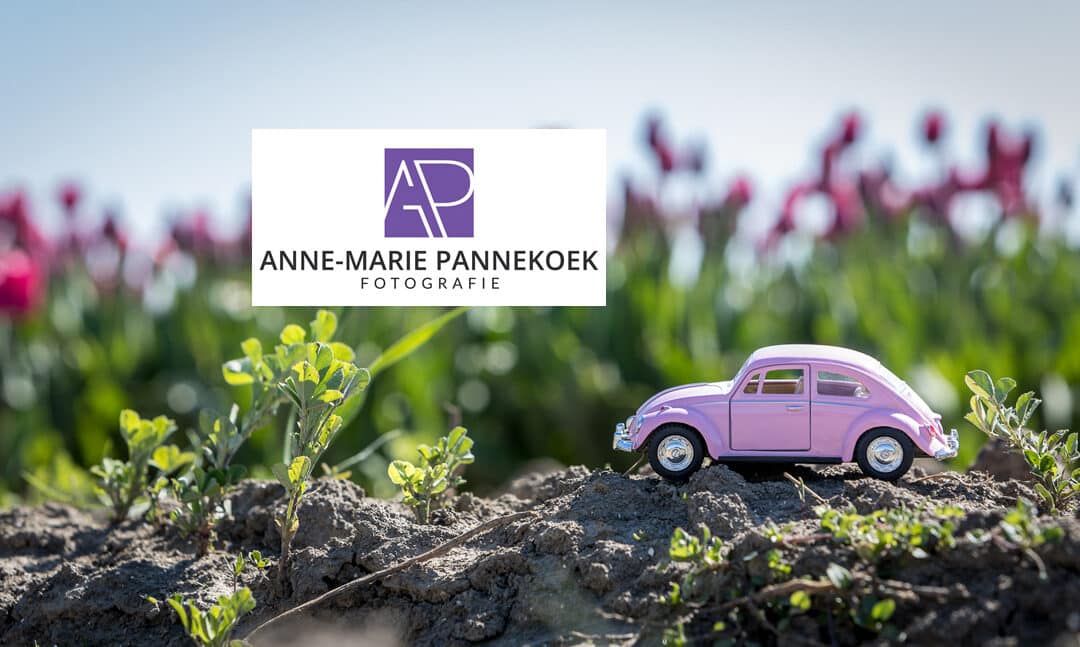 Nieuws van Anne-Marie Pannekoek Fotografie