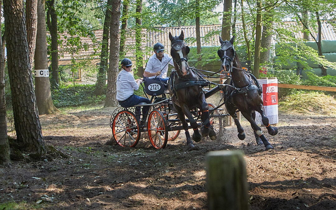 Horsedriving Wenum Wiesel