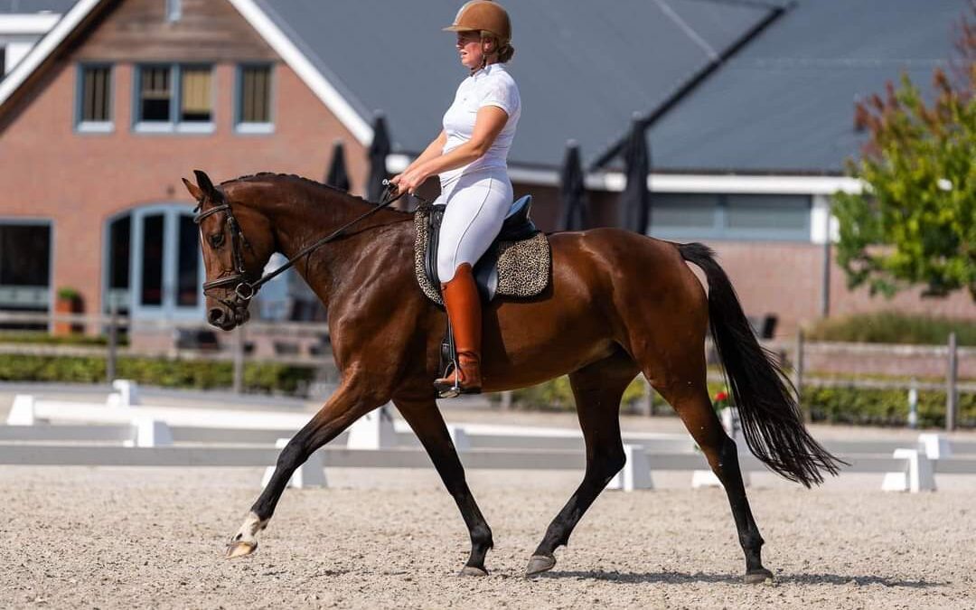 Uitslag HV de Cannenburgh