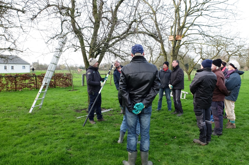 Vrijwilligers gezocht voor het behoud van hoogstamboomgaarden Epe