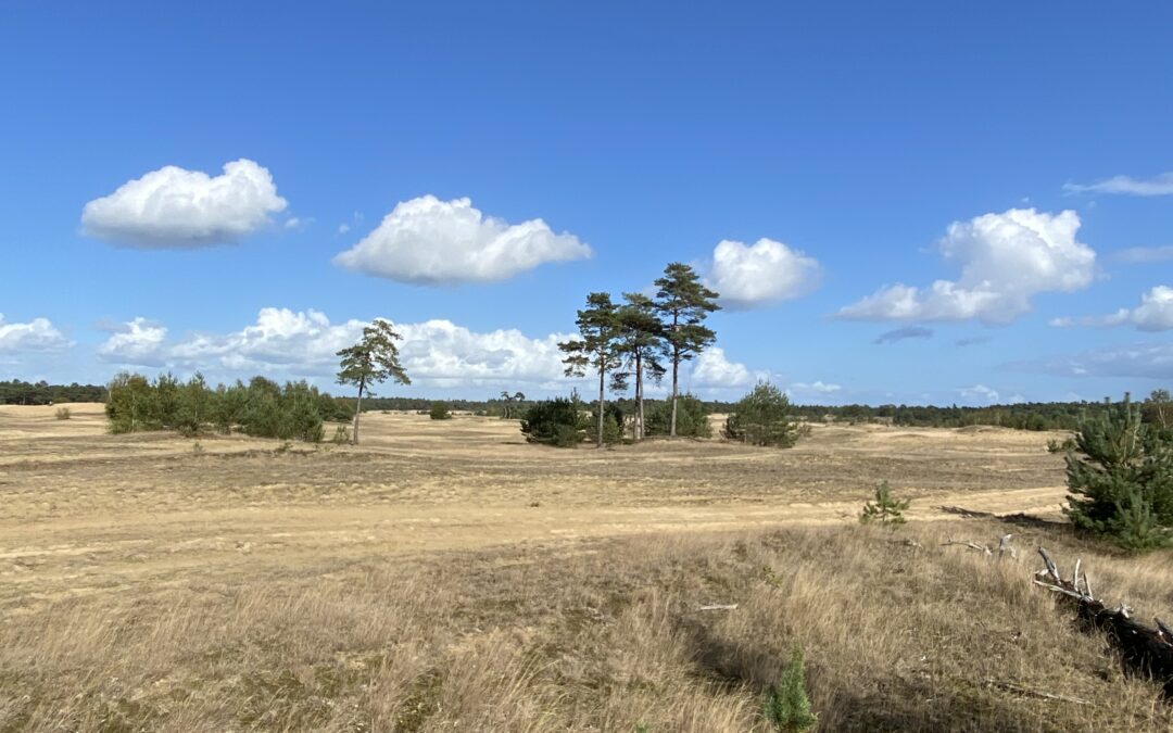 Ampt Epe: Lezing Noord-Veluwe – Het veranderende landschap