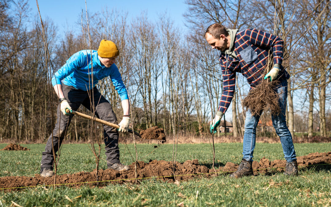 Doe ook mee met beplantingsproject Vaassen in het Groen