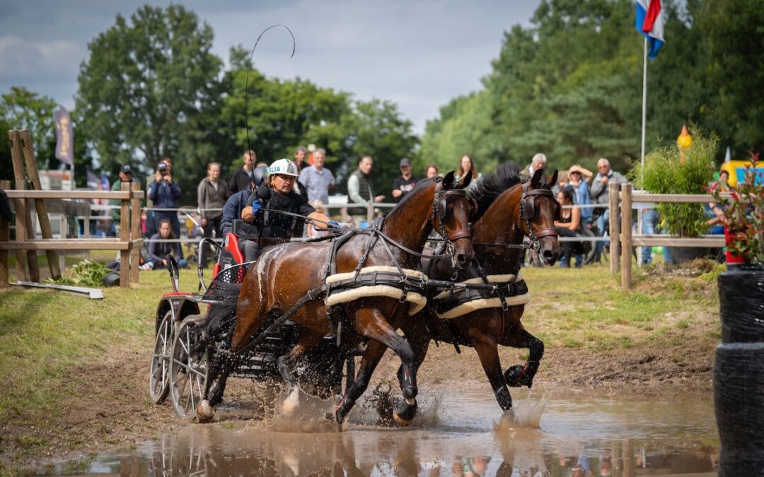 Horse Driving Wenum Wiesel 13 en 14 juli 2024