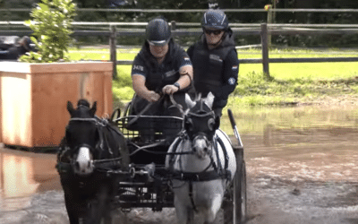 Mooi en droog weer en een mooie waterhindernis bij Horsedriving Wenum Wiesel.