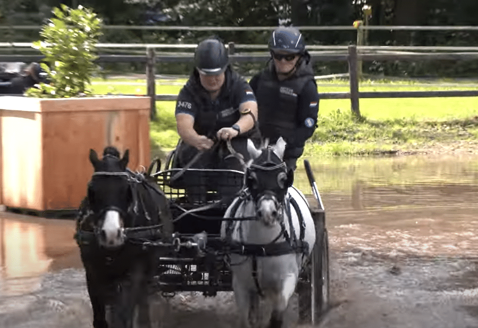 Mooi en droog weer en een mooie waterhindernis bij Horsedriving Wenum Wiesel.