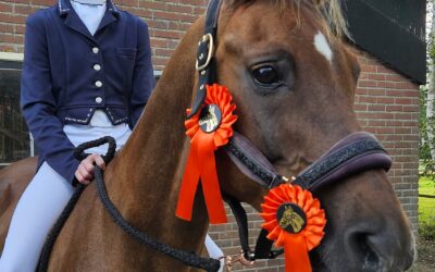 Uitslag HV de Cannenburgh