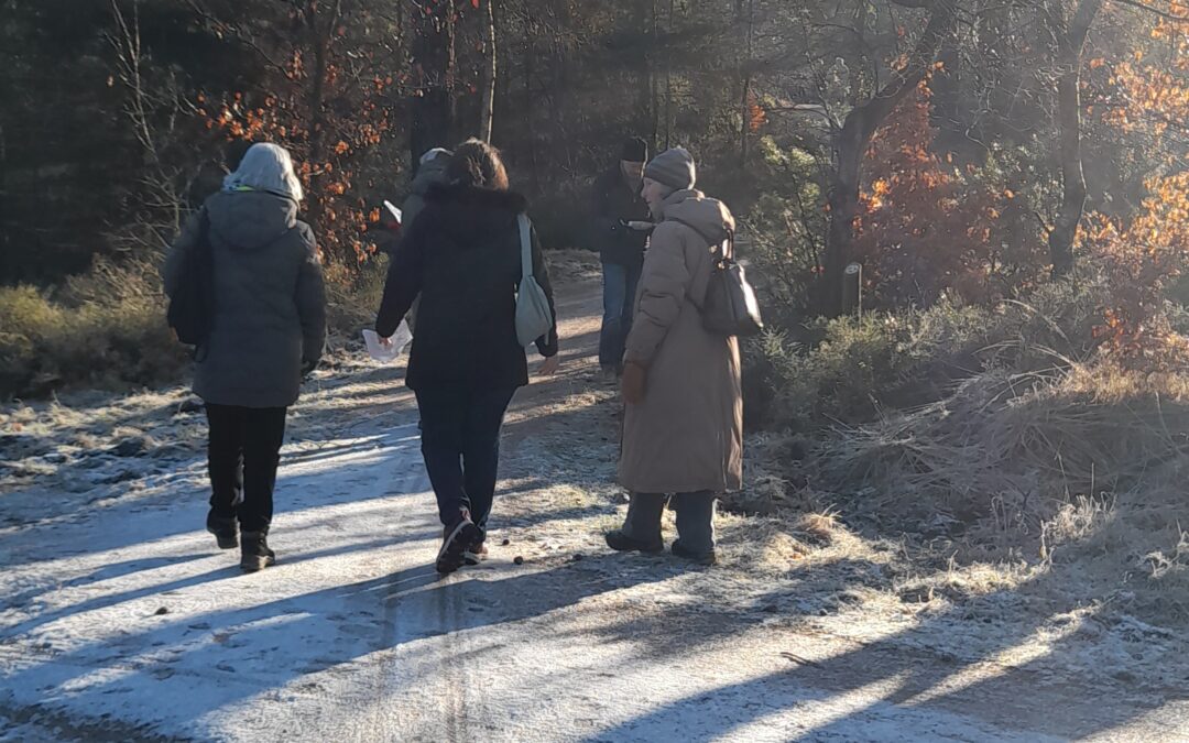 Winterwandeling Taalpunten Heerde, Epe, Vaassen