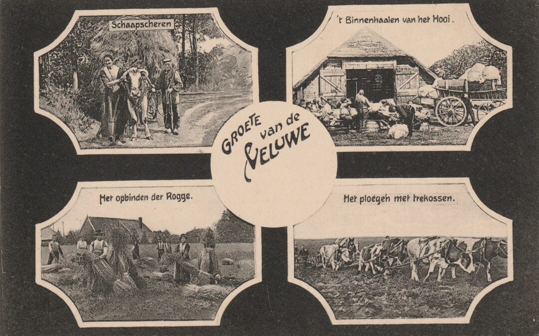 Lezing van Ampt Epe: ‘Het Veluwse platteland in de zeventiende eeuw’.