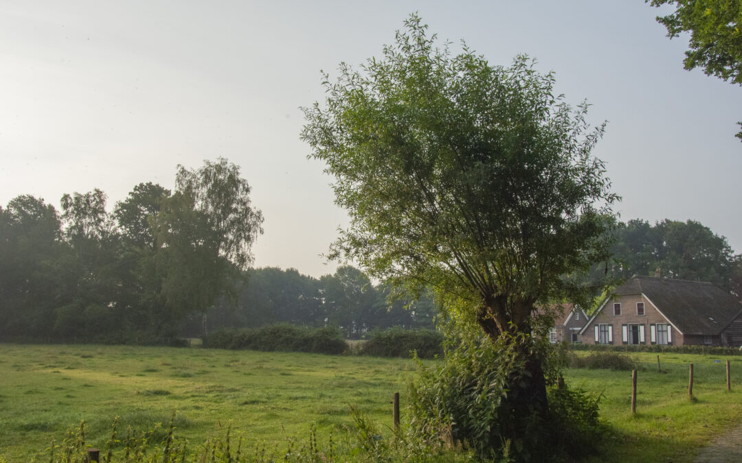 Bewoners welkom op ideeënavond 10 maart 2025 Levend Landschap Oene