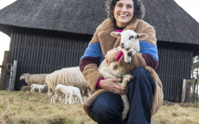 EO-coryfee maakt naam bekend eerste lammetje Schaapskudde Epe-Heerde: Margje Fikse: ‘Ik vernoem haar naar onze moeder: Trijntje’