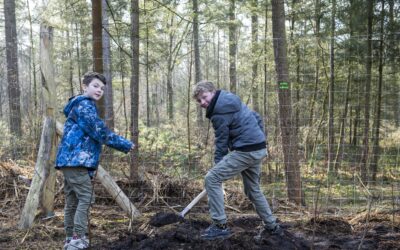 Basisschoolleerlingen planten bomen voor een toekomstbestendig gemeentebos Epe