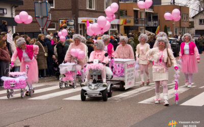 Carnavals optocht in Vaassen